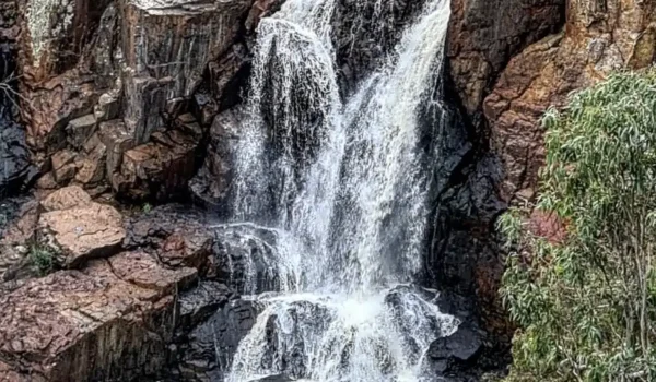 Falls and Surrounds