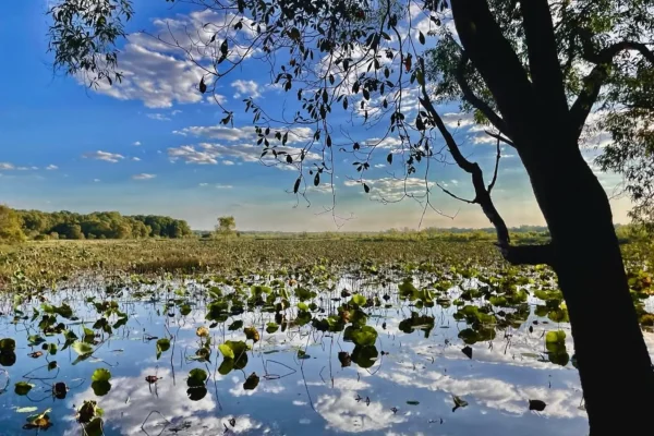 Fogg Dam Conservation Reserve