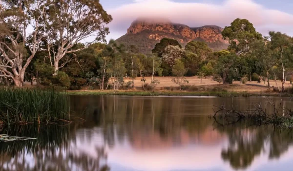 Grampians parks and gardens