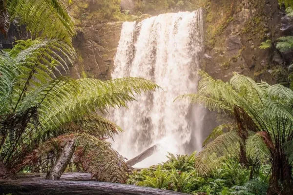 Great Ocean Road Waterfall