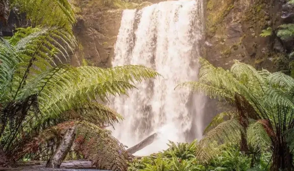 Great Ocean Road Waterfall