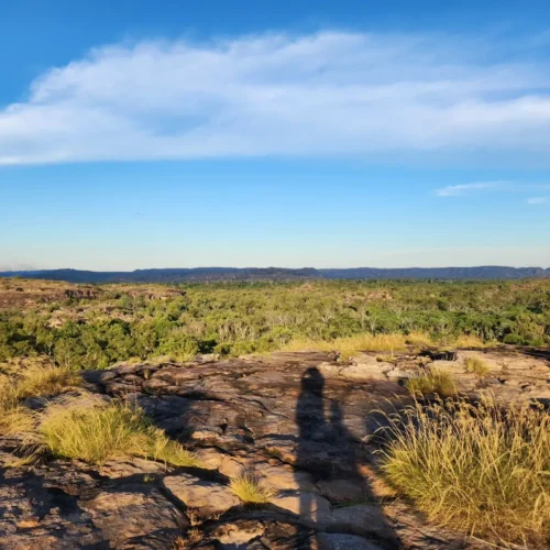 Jabiru Island Park