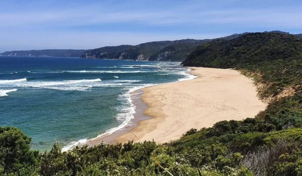 cape otway