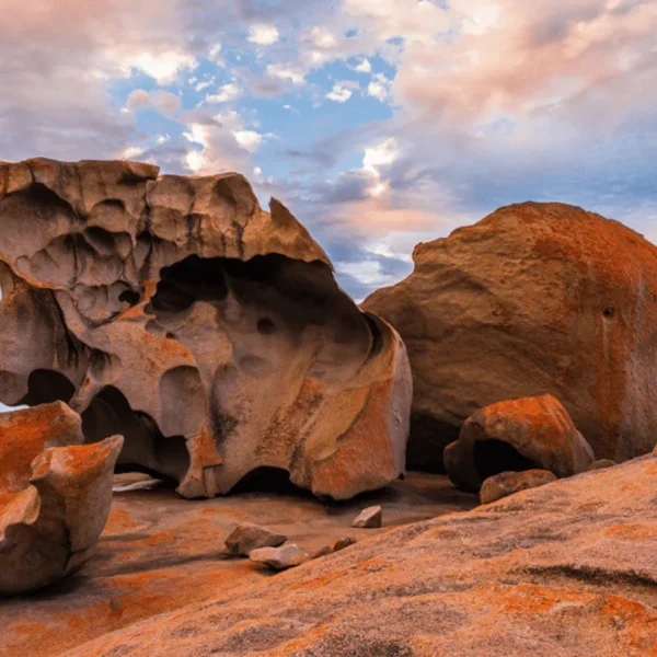 Kangaroo Island tour