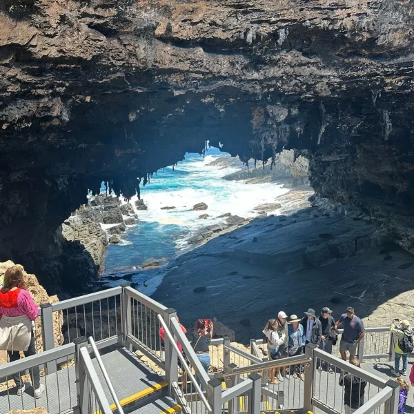 Kangaroo Island tours