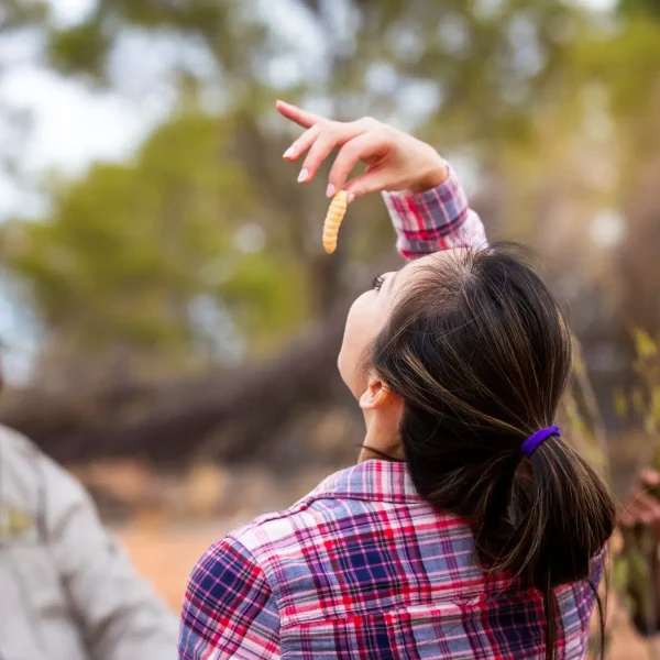 Karrke Aboriginal Cultural Tour Bush
