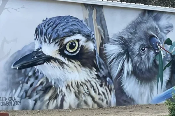 Koala conservation centre