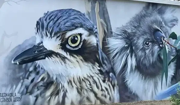 Koala conservation centre