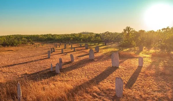 Magnetic Termite Mounds