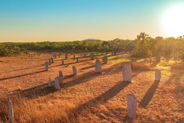 Magnetic Termite Mounds