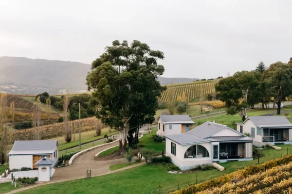 Main Town in the Yarra Valley