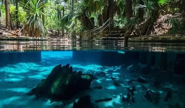 Mataranka Thermal Pool
