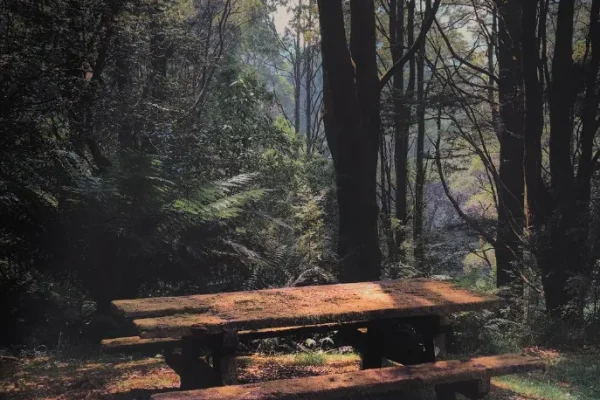 Melba Gully