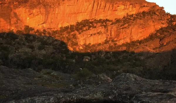 Mount Zero track