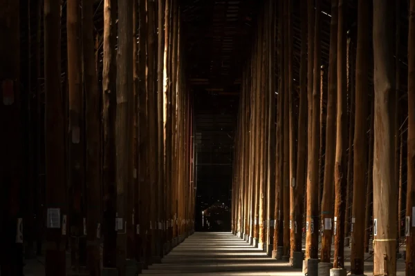 Murtoa Stick Shed in the Grampians