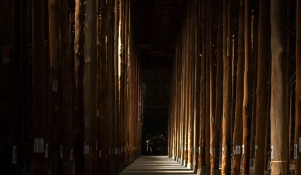 Murtoa Stick Shed in the Grampians