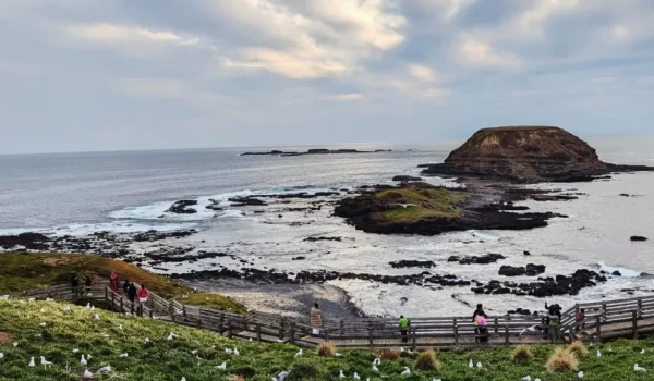 Nature and Conservation Parks, Phillip Island