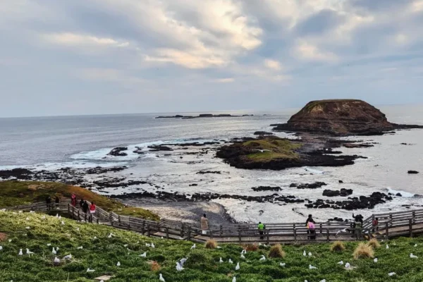Nature and Conservation Parks, Phillip Island