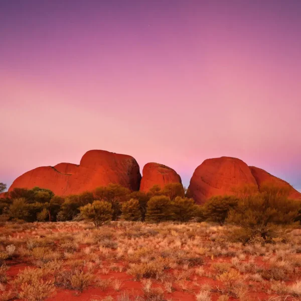 alice springs to uluru tour
