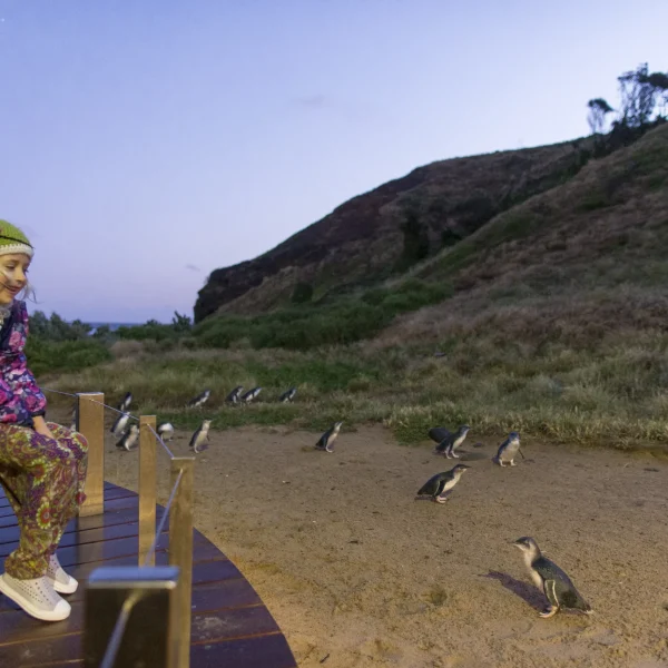 phillip island tour from melbourne