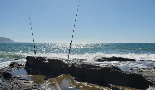 Phillip Island Fishing