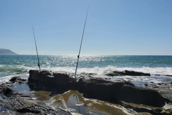 Phillip Island Fishing