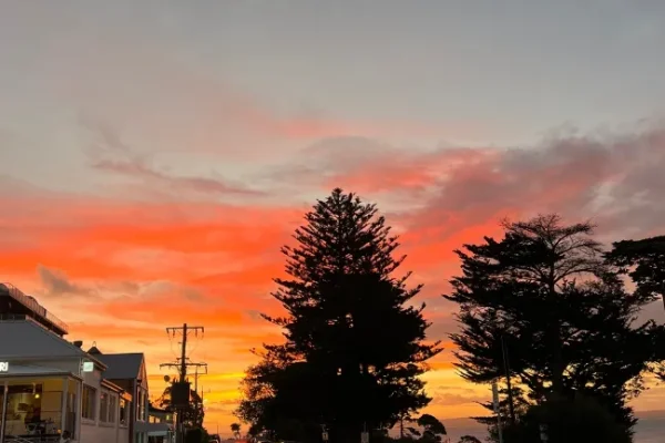 Places to Experience Phillip Island’s Nightlife