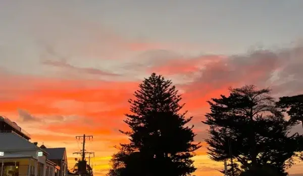 Places to Experience Phillip Island’s Nightlife