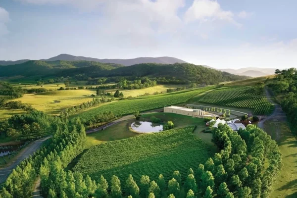 TarraWarra Estate