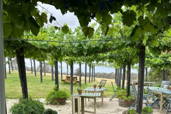 Taste the Best Wines of the Great Ocean Road Region