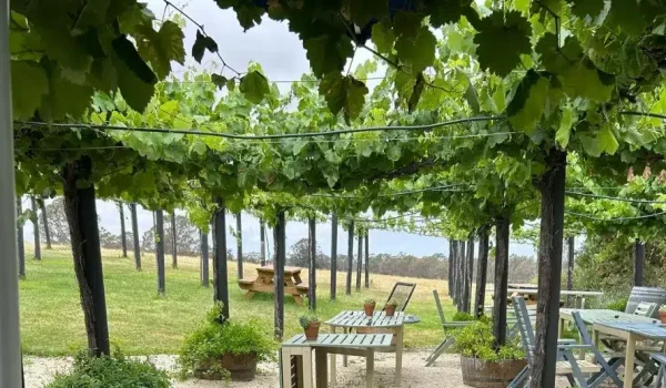 Taste the Best Wines of the Great Ocean Road Region