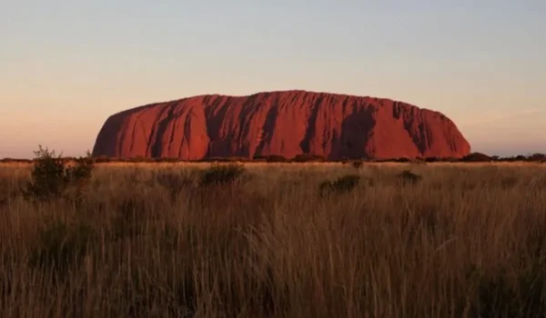 Exploring the Flora and Fauna Around Uluru