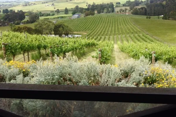 The region’s bounty Yarra Valley