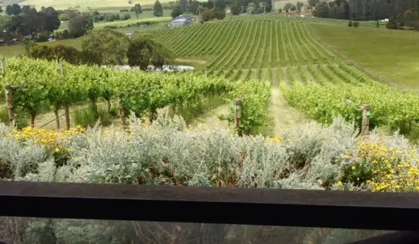 The region’s bounty Yarra Valley