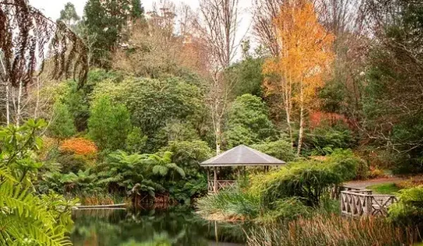 Things to do in Dandenong Ranges