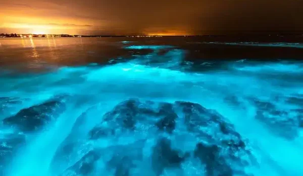 Things to do in Jervis Bay