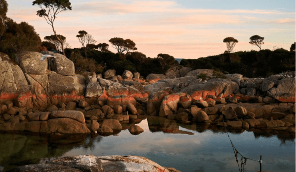 Things to do in Tasmania