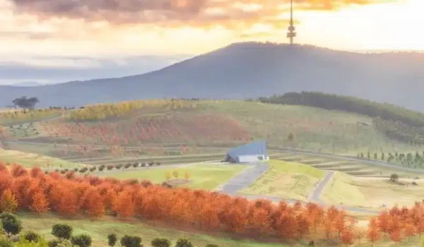 Things to do in Сanberra