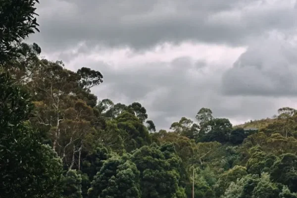 Timboon, Great Ocean Road