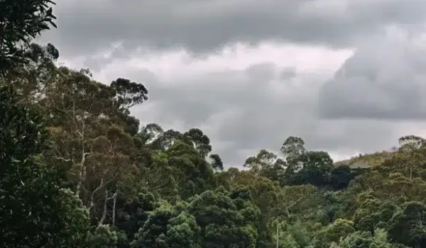 Timboon, Great Ocean Road