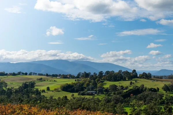 Top 10 Yarra Valley small wineries