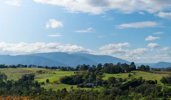 Top 10 Yarra Valley small wineries
