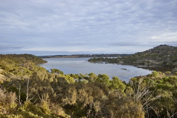 Tower Hill Wildlife Reserve