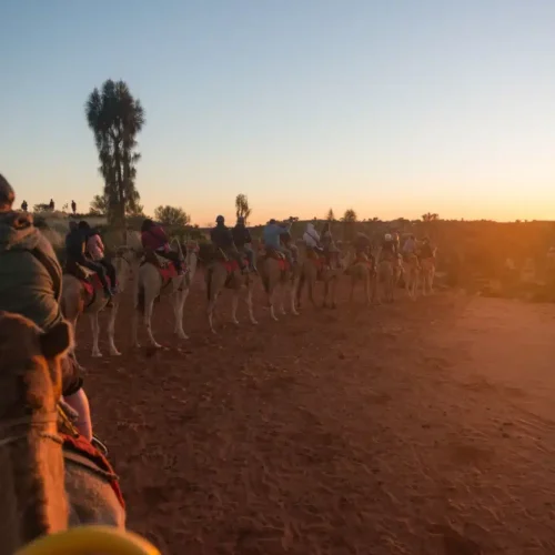 Uluru Sunset and Sacred Sites
