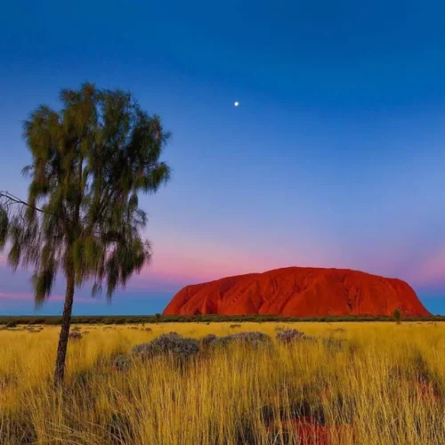 Uluru Tour