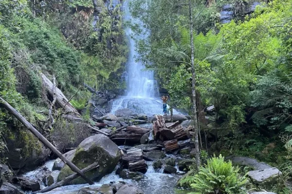 Visit the Erskine Falls