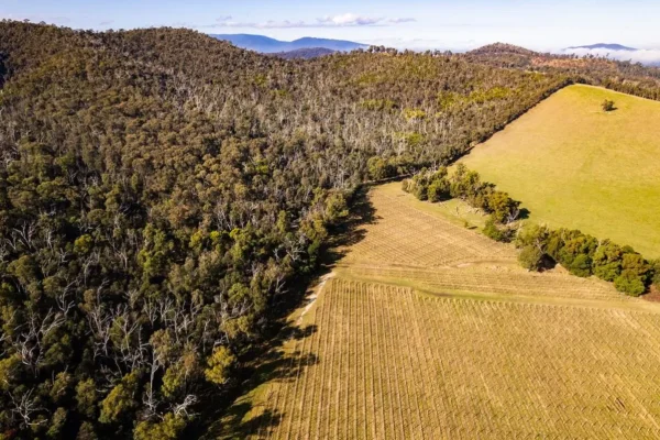 Visit the Toolangi
