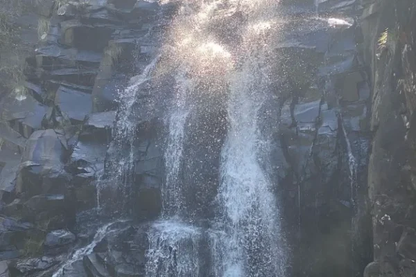 Visit the tranquil Sheoak Falls