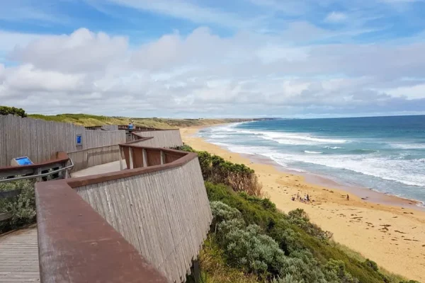 Warrnambool Whale Watching