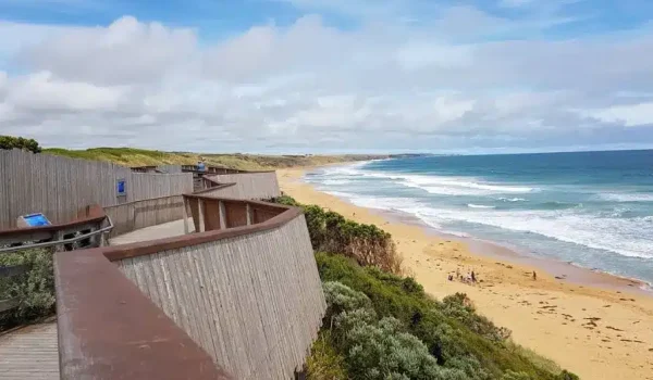Warrnambool Whale Watching